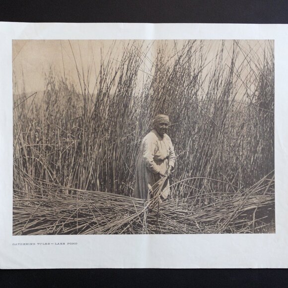 GATHERING TULES - LAKE POMO #150 Edward Sheriff Curtis Print - Picture 1 of 16